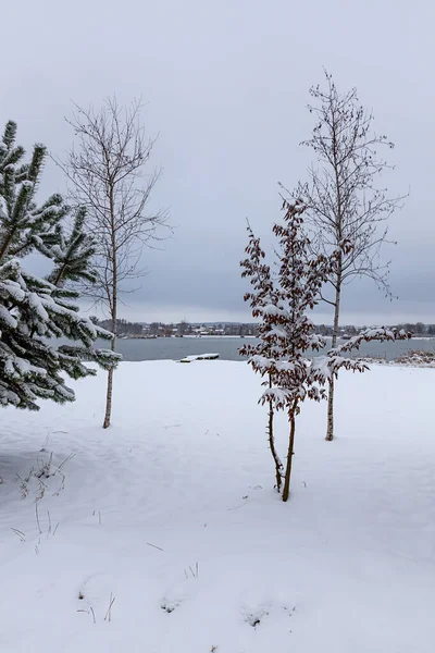 Winterlandschaft Einem Frostigen Novembertag — Stockfoto