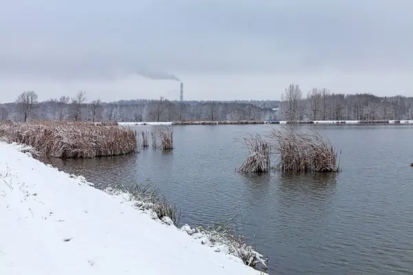 Winterlandschaft Einem Frostigen Novembertag — Stockfoto