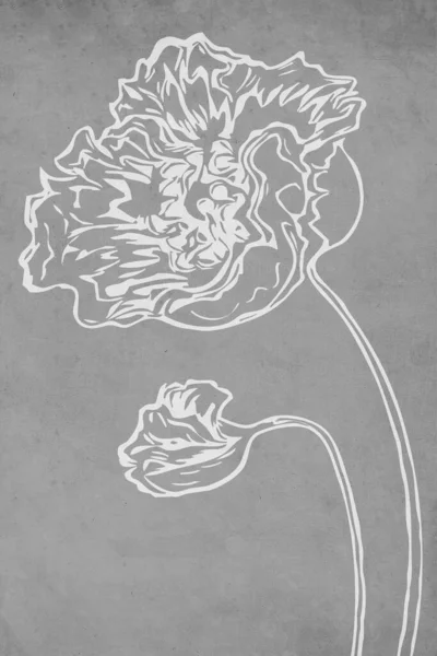 印刷可能なトレンディーな植物カード カバー 壁のアートのための使用 — ストック写真