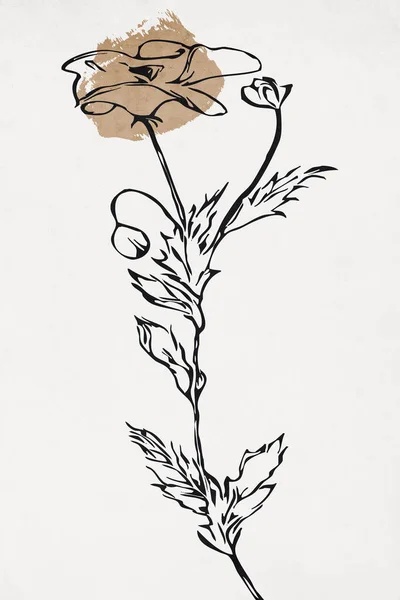 印刷可能なトレンディーな植物カード カバー 壁のアートのための使用 — ストック写真