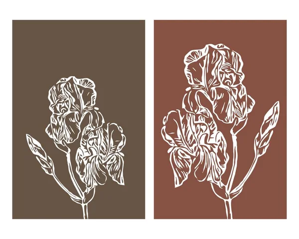 Uppsättning Botaniska Vägg Konst Linjekonst Tropisk Teckning Med Abstrakt Form — Stock vektor