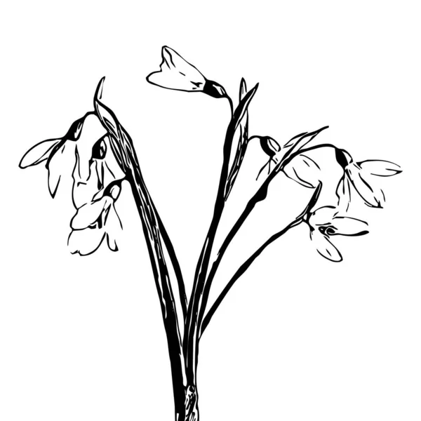 Ilustración Vectorial Flor Negra Sobre Fondo Blanco — Vector de stock