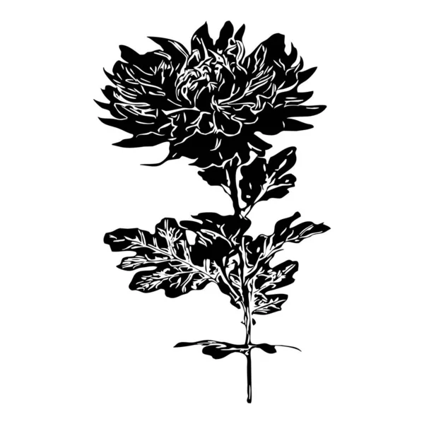 Vektör Çizimi Beyaz Arkaplanda Siyah Çiçekler — Stok Vektör