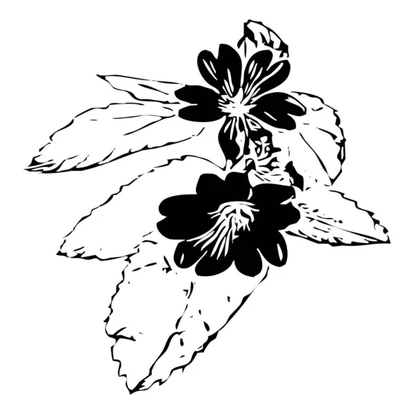Ilustración Vectorial Flores Negras Sobre Fondo Blanco — Vector de stock