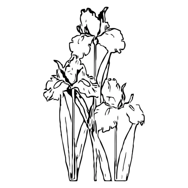 Ilustração Vetorial Flores Pretas Fundo Branco — Vetor de Stock