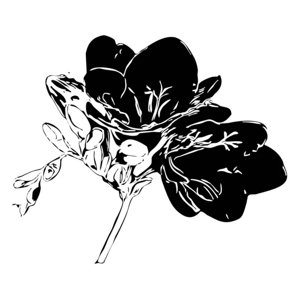 Векторная Иллюстрация Черные Цветы Белом Фоне — стоковый вектор