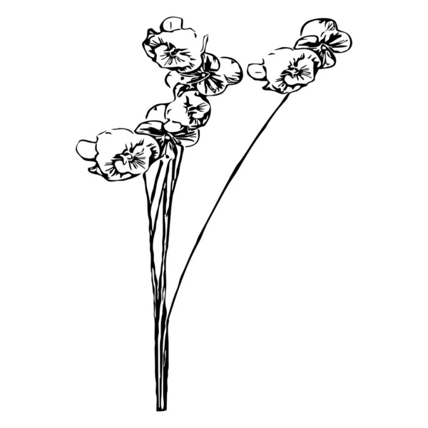 Vektör Çizimi Beyaz Arkaplanda Siyah Çiçekler — Stok Vektör