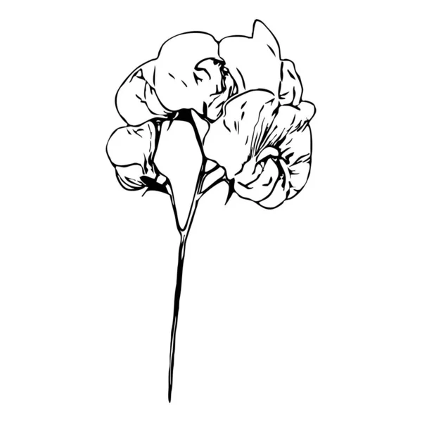 Векторні Ілюстрації Чорні Квіти Білому Тлі — стоковий вектор