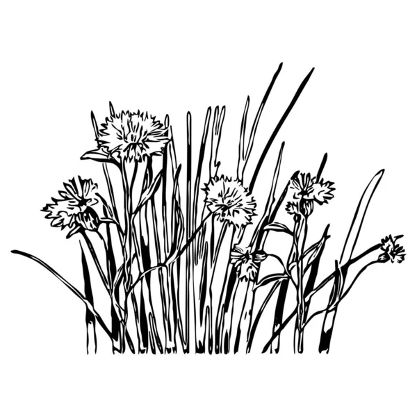 矢量图解 白色背景上的黑色花朵 — 图库矢量图片