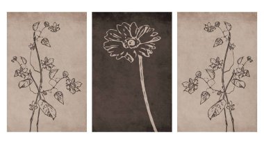 3 botanik duvarı seti. Soyut şekilli tropikal çizimler. Baskı, kapak, duvar kağıdı, minimalist ve doğal duvar sanatı için soyut desen.