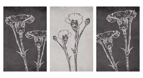 Uppsättning Botaniska Vägg Konst Linje Konst Tropisk Teckning Med Abstrakt — Stock vektor