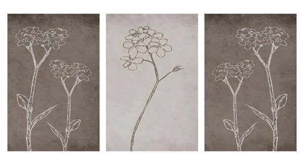 Set Obras Arte Pared Botánica Dibujo Tropical Arte Lineal Con — Archivo Imágenes Vectoriales