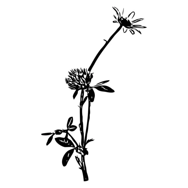 ベクトルイラスト 白地に黒い花を咲かせる — ストックベクタ