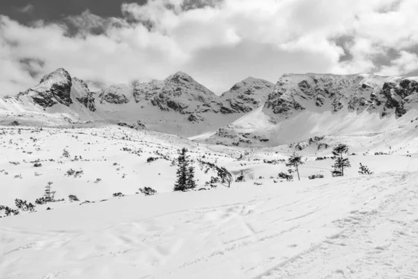 塔特拉山的冬季风景 — 图库照片