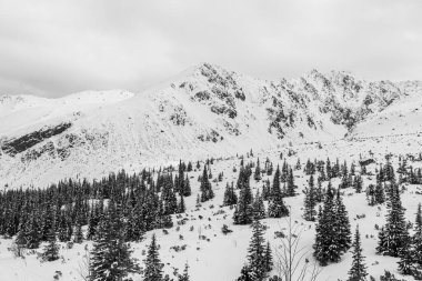 Tatra Dağları 'ndaki kış manzarası. Polonya