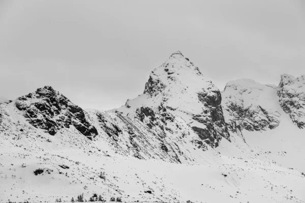 Paisaje Invernal Las Montañas Tatra Polonia — Foto de Stock