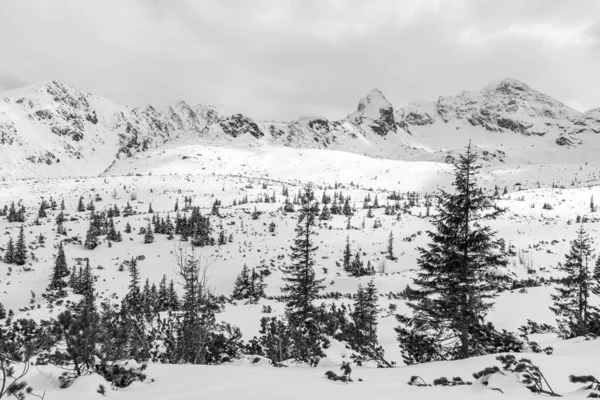 Winterlandschap Het Tatra Gebergte Polen — Stockfoto