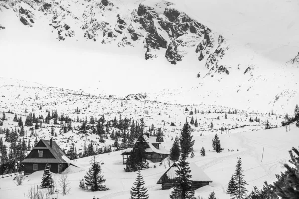 Paisagem Inverno Nas Montanhas Tatra Polónia — Fotografia de Stock