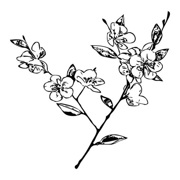Illustration Vectorielle Fleurs Noires Sur Fond Blanc — Image vectorielle