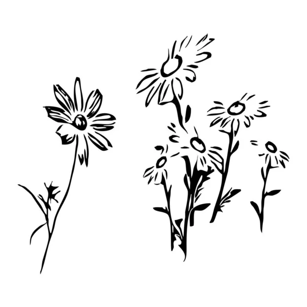 Vector Illustratie Zwarte Bloemen Een Witte Achtergrond — Stockvector