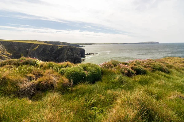 Landskap Vid Havet Solig Dag Blå Himmel Padstow Cornwall England — Stockfoto