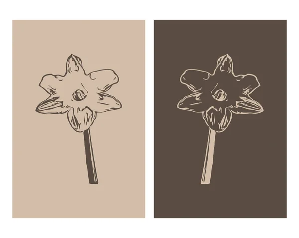 Uppsättning Botaniska Vägg Konst Linjekonst Tropisk Teckning Med Abstrakt Form — Stock vektor