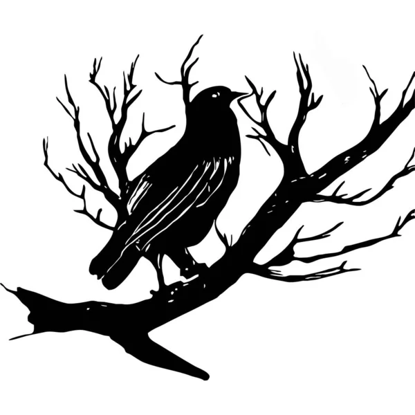 Ilustración Blanco Negro Pájaro Negro Árbol —  Fotos de Stock