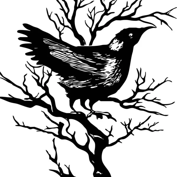 Чорно Біла Ілюстрація Чорний Птах Дереві — стокове фото