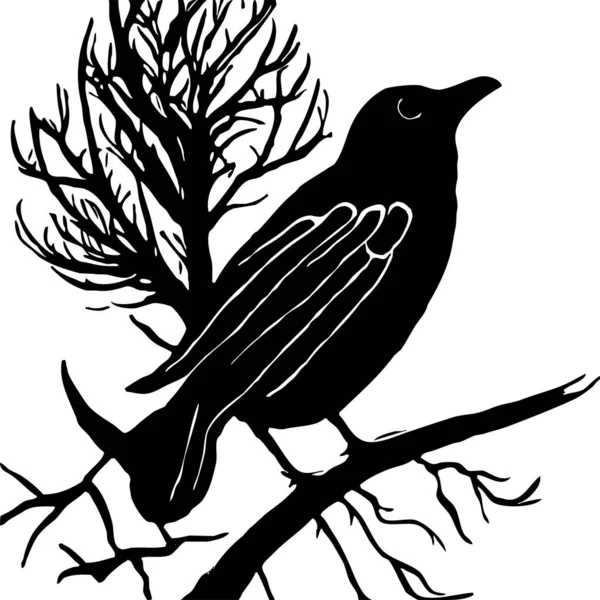 Чорно Біла Ілюстрація Чорний Птах Дереві — стокове фото