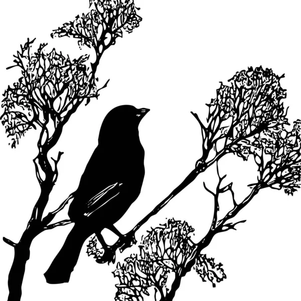 黑白插图 树上的黑鸟 — 图库照片