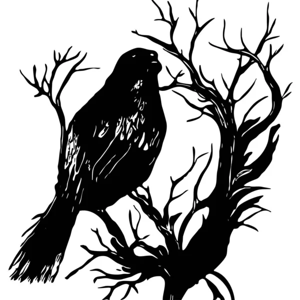Ασπρόμαυρη Απεικόνιση Μαύρο Πουλί Δέντρο — Φωτογραφία Αρχείου