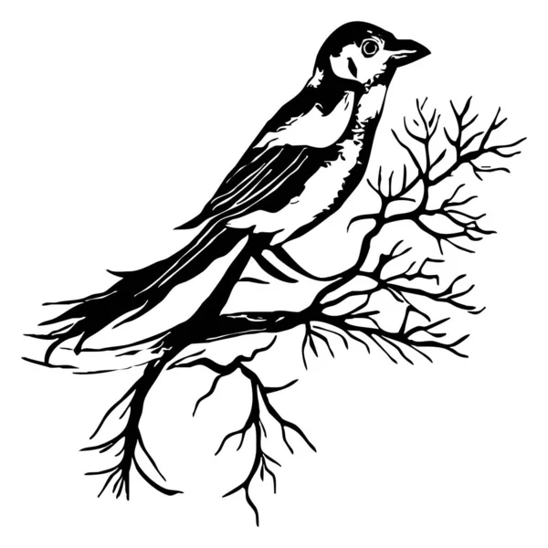 Svart Och Vit Illustration Svart Fågel Ett Träd — Stockfoto