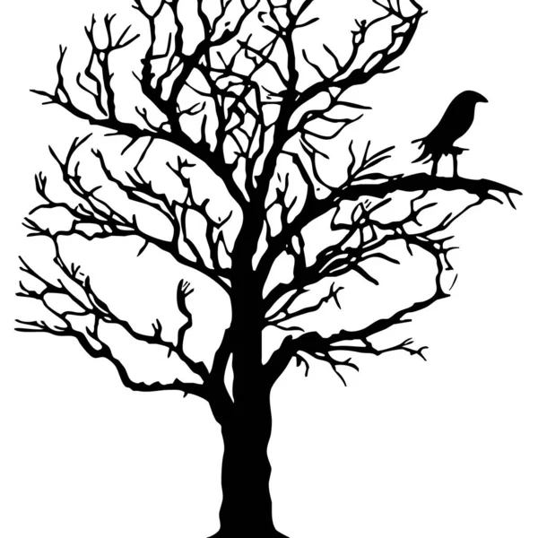 Czarno Białe Ilustracje Czarny Ptak Drzewie — Zdjęcie stockowe