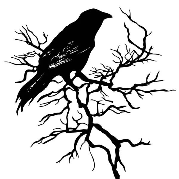 Ilustración Blanco Negro Pájaro Negro Árbol — Foto de Stock