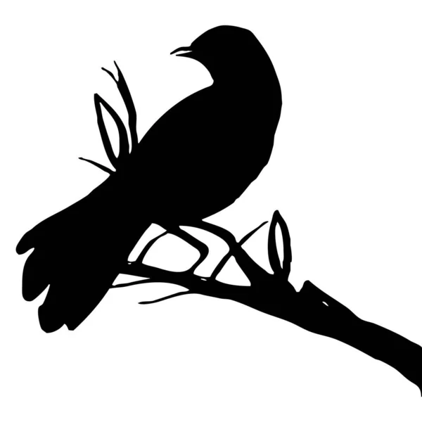 Black White Illustration Black Bird Tree — Stock Photo, Image
