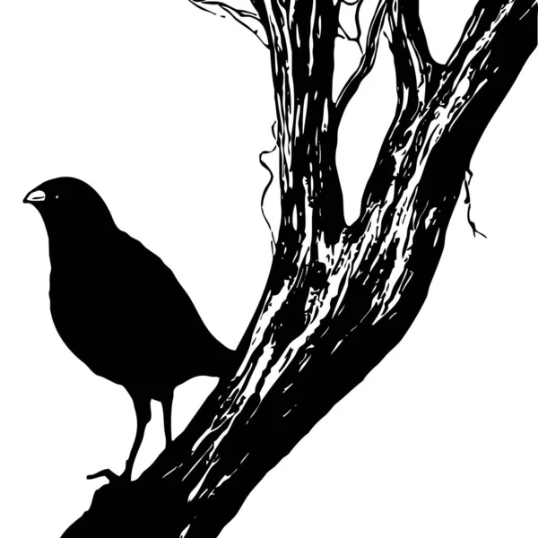 Ασπρόμαυρη Απεικόνιση Μαύρο Πουλί Δέντρο — Φωτογραφία Αρχείου