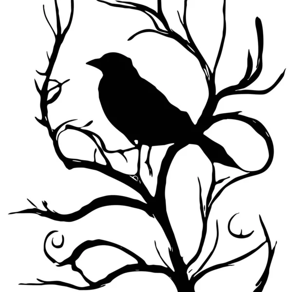 Siyah Beyaz Çizim Ağaçtaki Kara Kuş — Stok fotoğraf