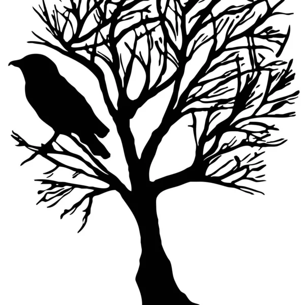 Czarno Białe Ilustracje Czarny Ptak Drzewie — Zdjęcie stockowe