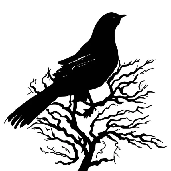 Black White Illustration Black Bird Tree — Stock Photo, Image