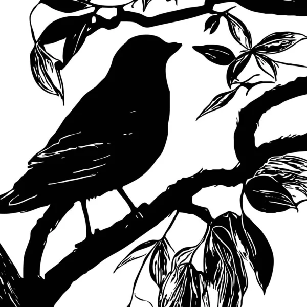 Schwarz Weiß Illustration Schwarzer Vogel Auf Einem Baum — Stockfoto