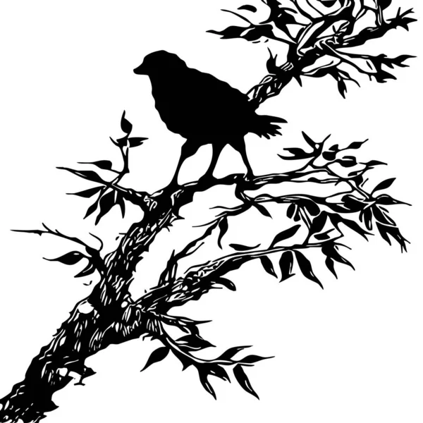 Schwarz Weiß Illustration Schwarzer Vogel Auf Einem Baum — Stockfoto