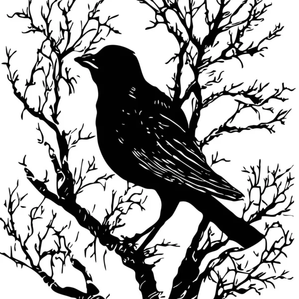 黑白插图 树上的黑鸟 — 图库照片
