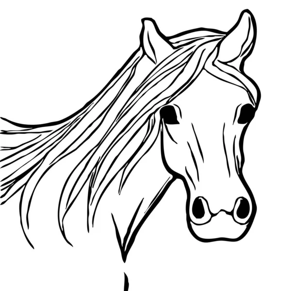 Иллюстрация Животных Черный Силуэт Лошади Белом Фоне — стоковое фото