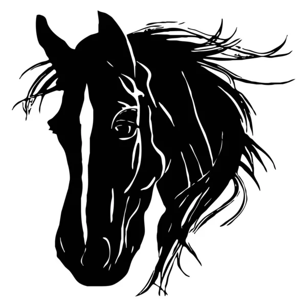 Illustrazione Animale Silhouette Nera Cavallo Sfondo Bianco — Foto Stock