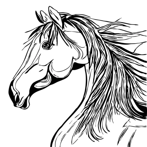 Ілюстрація Тварин Чорний Силует Коня Білому Тлі — стокове фото