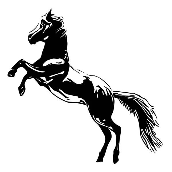 動物のイラスト 白い背景に馬の黒いシルエット — ストック写真