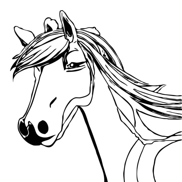 Ilustrace Zvířat Černá Silueta Koně Bílém Pozadí — Stock fotografie