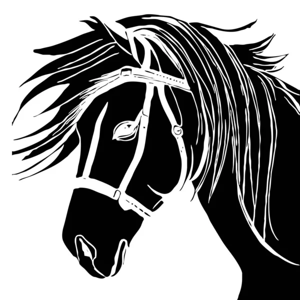 動物のイラスト 白い背景に馬の黒いシルエット — ストック写真