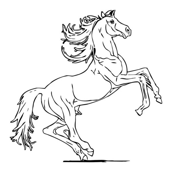 Dierenillustratie Zwart Silhouet Van Een Paard Een Witte Achtergrond — Stockfoto