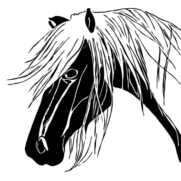 Ілюстрація Тварин Чорний Силует Коня Білому Тлі — стокове фото
